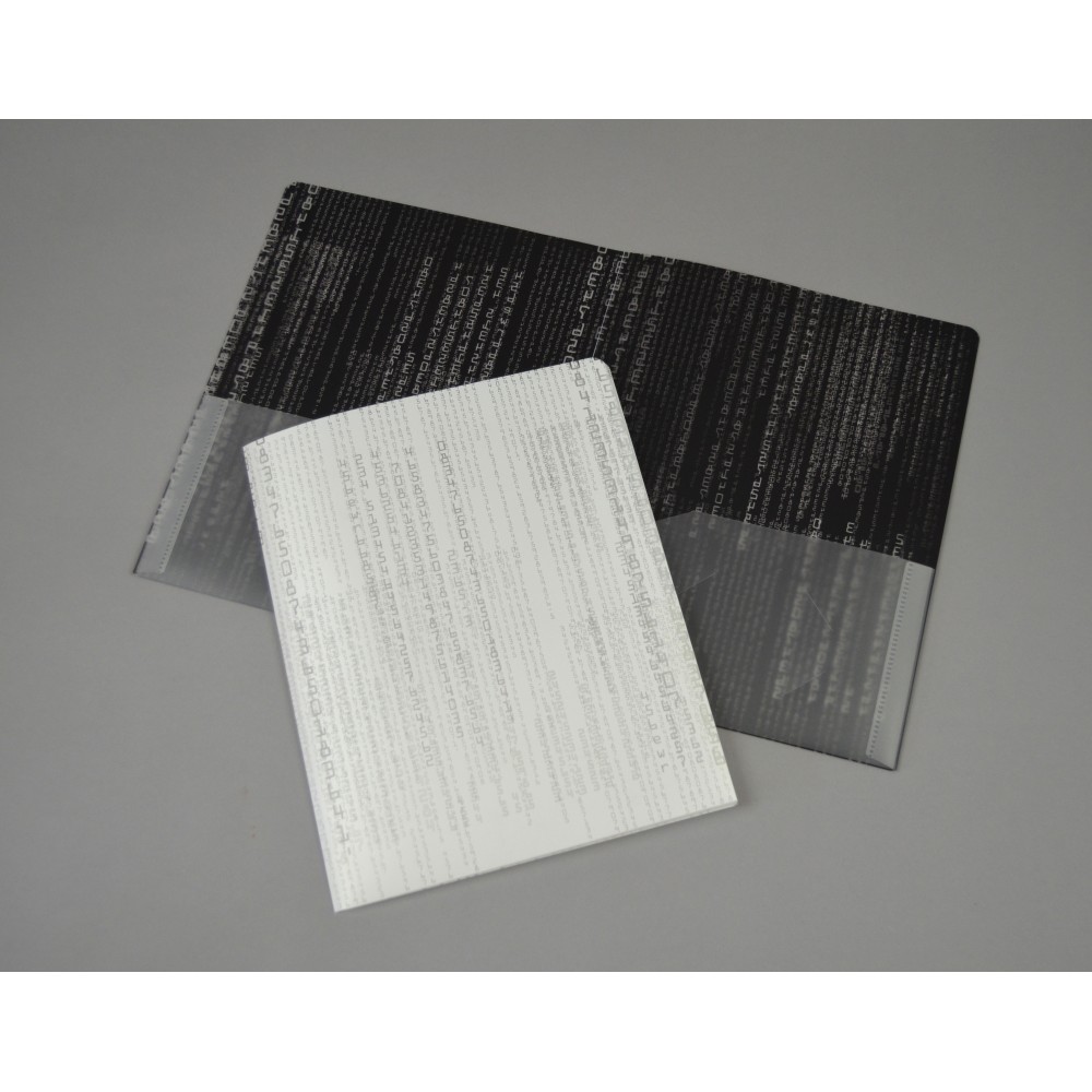 Durable Poly Envelopes For 3 Ring Binder - AE17220Durable Matrix Two Pocket Folder – 41627